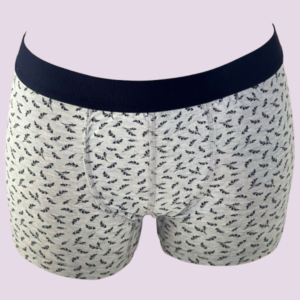 Baspinar Ανδρικό Βαμβακερό Μοντέρνο Μποξεράκι με μικρά ανθάκια λουλουδακια και φανταστική εφαρμογή Μπλέ 2101