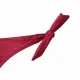 Modern Ocean Γυναικείο Slip μαγιό δετό  plus sizes 934-1.RED Mix & Match