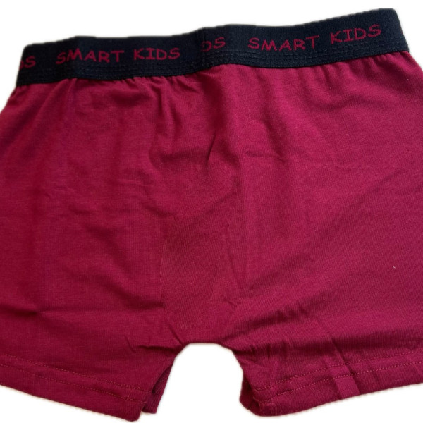 Berrak Hipster Παιδικό Βαμβακερό & Modal Μποξεράκι για αγόρια Μπορντώ χρώμα με  σχέδιo Robot 1575 