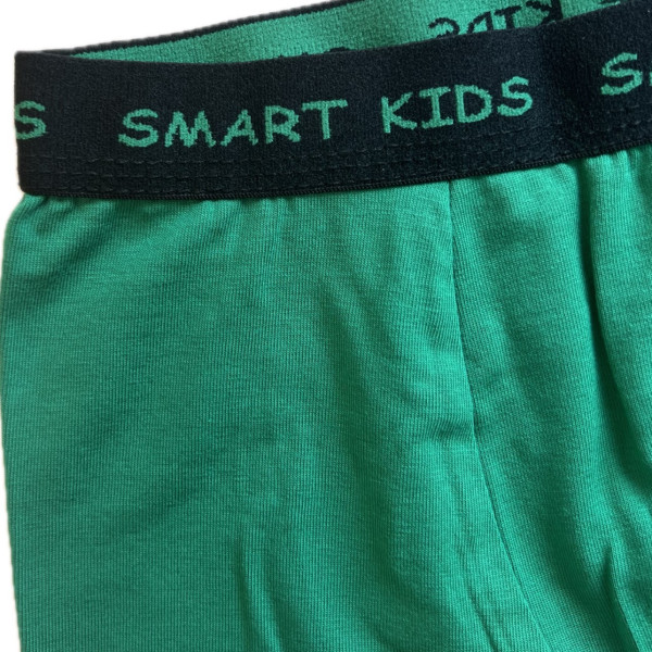 Berrak Hipster Παιδικό Βαμβακερό & Modal Μποξεράκι για αγόρια Πράσινο χρώμα με  σχέδιo Basket 1575 