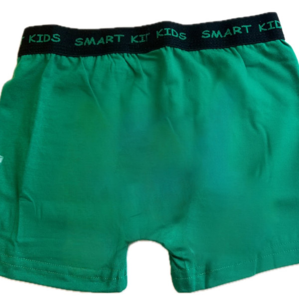 Berrak Hipster Παιδικό Βαμβακερό & Modal Μποξεράκι για αγόρια Πράσινο χρώμα με  σχέδιo Basket 1575 