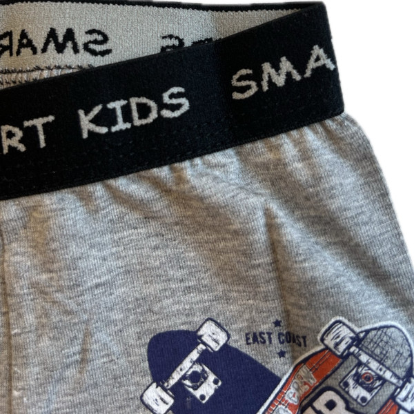 Berrak Hipster Παιδικό Βαμβακερό & Modal Μποξεράκι για αγόρια Γκρί χρώμα με  σχέδιo Skate 1575 