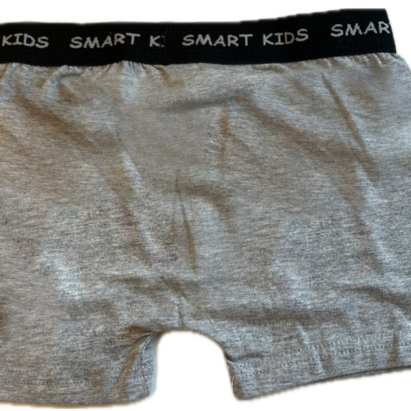 Berrak Hipster Παιδικό Βαμβακερό & Modal Μποξεράκι για αγόρια Γκρί χρώμα με  σχέδιo Skate 1575 