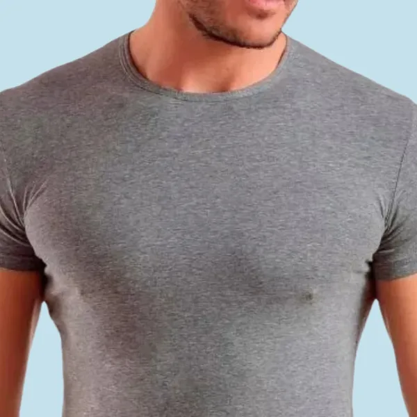 Hanes Ανδρική Βαμβακερή Γκρι  Φανέλα  100% βαμβακερή 2110JC GREY