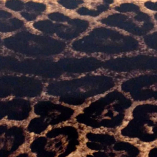 Rock Club Γυναικείο Top Μαγιό Τρίγωνάκι Λεοπάρ  & Plus sizes BP2086  Triangle Top Animal Print