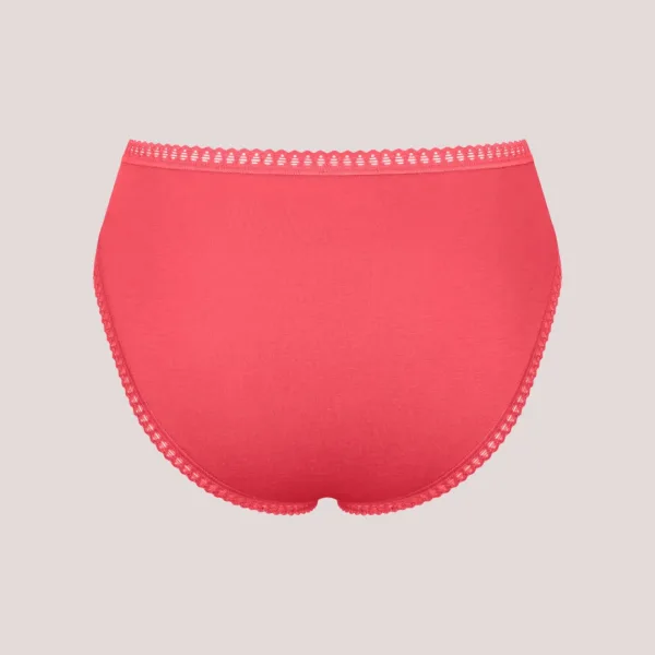 Sloggi Γυναικεία Βαμβακερά εσώρουχα Σλιπ tai 3τεμ Οικονομική Συσκευασία Go Crush High Leg 10219672.M005/R5